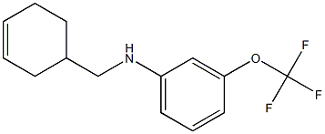 N-(cyclohex-3-en-1-ylmethyl)-3-(trifluoromethoxy)aniline Struktur