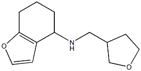 N-(oxolan-3-ylmethyl)-4,5,6,7-tetrahydro-1-benzofuran-4-amine,,结构式