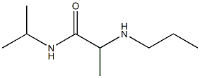 N-(propan-2-yl)-2-(propylamino)propanamide 化学構造式