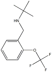 N-(tert-butyl)-N-[2-(trifluoromethoxy)benzyl]amine Struktur