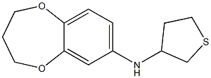 N-(thiolan-3-yl)-3,4-dihydro-2H-1,5-benzodioxepin-7-amine,,结构式