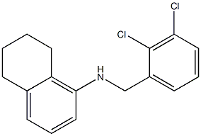 N-[(2,3-dichlorophenyl)methyl]-5,6,7,8-tetrahydronaphthalen-1-amine 结构式