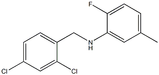 N-[(2,4-dichlorophenyl)methyl]-2-fluoro-5-methylaniline 结构式