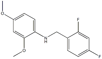 N-[(2,4-difluorophenyl)methyl]-2,4-dimethoxyaniline 结构式