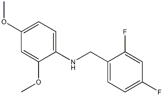  N-[(2,4-difluorophenyl)methyl]-2,4-dimethoxyaniline