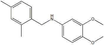 N-[(2,4-dimethylphenyl)methyl]-3,4-dimethoxyaniline 化学構造式