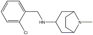 N-[(2-chlorophenyl)methyl]-8-methyl-8-azabicyclo[3.2.1]octan-3-amine