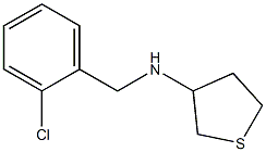 N-[(2-chlorophenyl)methyl]thiolan-3-amine 化学構造式