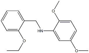 N-[(2-ethoxyphenyl)methyl]-2,5-dimethoxyaniline 结构式