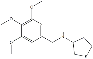 N-[(3,4,5-trimethoxyphenyl)methyl]thiolan-3-amine Structure