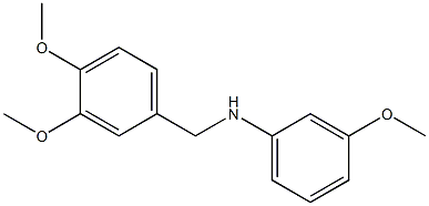 N-[(3,4-dimethoxyphenyl)methyl]-3-methoxyaniline,,结构式
