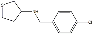 N-[(4-chlorophenyl)methyl]thiolan-3-amine Structure