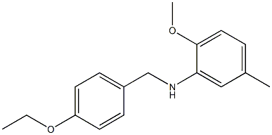 N-[(4-ethoxyphenyl)methyl]-2-methoxy-5-methylaniline|