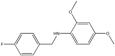 N-[(4-fluorophenyl)methyl]-2,4-dimethoxyaniline,,结构式