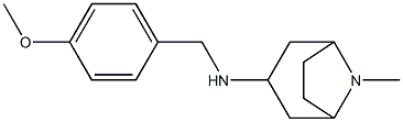 N-[(4-methoxyphenyl)methyl]-8-methyl-8-azabicyclo[3.2.1]octan-3-amine,,结构式
