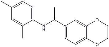 N-[1-(2,3-dihydro-1,4-benzodioxin-6-yl)ethyl]-2,4-dimethylaniline|