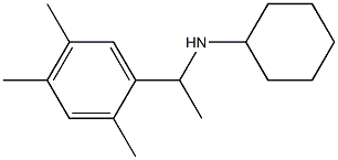 N-[1-(2,4,5-trimethylphenyl)ethyl]cyclohexanamine 化学構造式