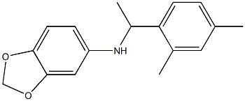 N-[1-(2,4-dimethylphenyl)ethyl]-2H-1,3-benzodioxol-5-amine,,结构式