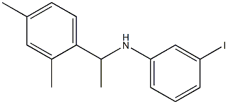 N-[1-(2,4-dimethylphenyl)ethyl]-3-iodoaniline 结构式