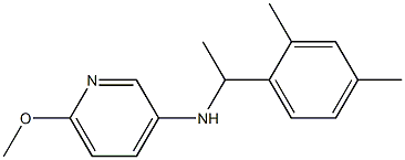  N-[1-(2,4-dimethylphenyl)ethyl]-6-methoxypyridin-3-amine