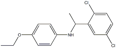 N-[1-(2,5-dichlorophenyl)ethyl]-4-ethoxyaniline 结构式