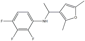  N-[1-(2,5-dimethylfuran-3-yl)ethyl]-2,3,4-trifluoroaniline