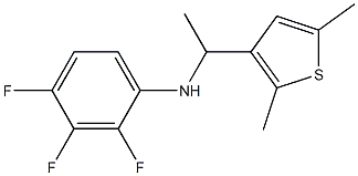 N-[1-(2,5-dimethylthiophen-3-yl)ethyl]-2,3,4-trifluoroaniline,,结构式