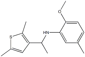  N-[1-(2,5-dimethylthiophen-3-yl)ethyl]-2-methoxy-5-methylaniline