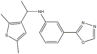 N-[1-(2,5-dimethylthiophen-3-yl)ethyl]-3-(1,3,4-oxadiazol-2-yl)aniline Structure