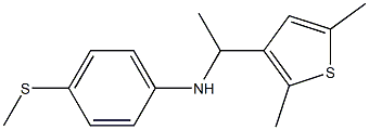  N-[1-(2,5-dimethylthiophen-3-yl)ethyl]-4-(methylsulfanyl)aniline