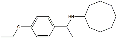 N-[1-(4-ethoxyphenyl)ethyl]cyclooctanamine 化学構造式