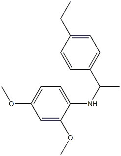 N-[1-(4-ethylphenyl)ethyl]-2,4-dimethoxyaniline 结构式