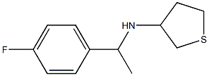 N-[1-(4-fluorophenyl)ethyl]thiolan-3-amine 结构式