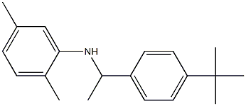  N-[1-(4-tert-butylphenyl)ethyl]-2,5-dimethylaniline