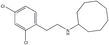 N-[2-(2,4-dichlorophenyl)ethyl]cyclooctanamine 化学構造式