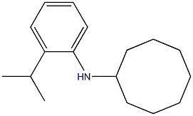 N-[2-(propan-2-yl)phenyl]cyclooctanamine 结构式