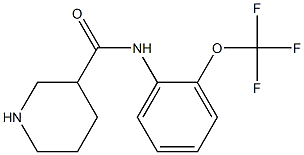 N-[2-(trifluoromethoxy)phenyl]piperidine-3-carboxamide|