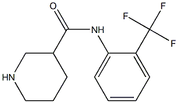 N-[2-(trifluoromethyl)phenyl]piperidine-3-carboxamide 化学構造式