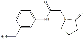 N-[3-(aminomethyl)phenyl]-2-(2-oxopyrrolidin-1-yl)acetamide,,结构式