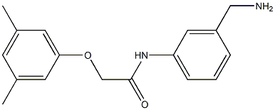  N-[3-(aminomethyl)phenyl]-2-(3,5-dimethylphenoxy)acetamide