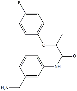 N-[3-(aminomethyl)phenyl]-2-(4-fluorophenoxy)propanamide Structure