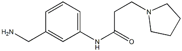 N-[3-(aminomethyl)phenyl]-3-pyrrolidin-1-ylpropanamide,,结构式
