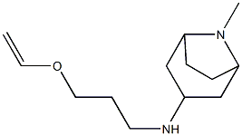  N-[3-(ethenyloxy)propyl]-8-methyl-8-azabicyclo[3.2.1]octan-3-amine