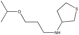 N-[3-(propan-2-yloxy)propyl]thiolan-3-amine 化学構造式