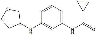 N-[3-(thiolan-3-ylamino)phenyl]cyclopropanecarboxamide 化学構造式