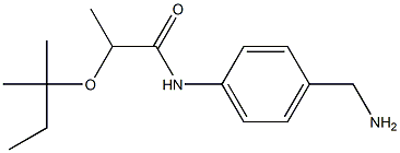 N-[4-(aminomethyl)phenyl]-2-[(2-methylbutan-2-yl)oxy]propanamide Structure