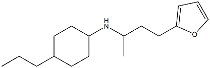 N-[4-(furan-2-yl)butan-2-yl]-4-propylcyclohexan-1-amine Struktur