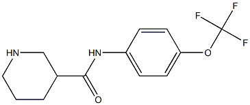 N-[4-(trifluoromethoxy)phenyl]piperidine-3-carboxamide Structure