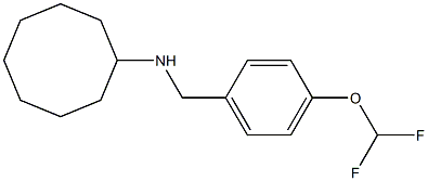 N-{[4-(difluoromethoxy)phenyl]methyl}cyclooctanamine Struktur