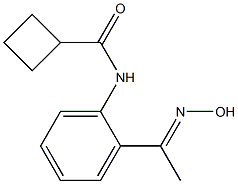 N-{2-[(1E)-N-hydroxyethanimidoyl]phenyl}cyclobutanecarboxamide 化学構造式